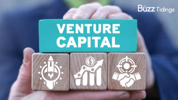 5 Key Principles of Venture Capital Investment